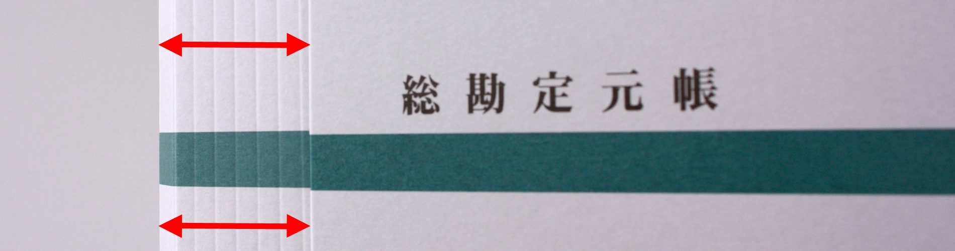 背幅自由自在・総勘定元帳ファイルのアイキャッチ画像
